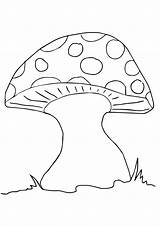 Pilz Paddestoel Kleurplaat Mushroom Ausmalbild Kleurplaten Mooshroom Malvorlagen Q2 sketch template