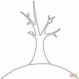 Tree Bare Coloring Pages Roots Simple Arbol Hojas Sin Para Dibujar Facil Printable Template Silhouette Clipart Drawing Dot Leaves Print sketch template
