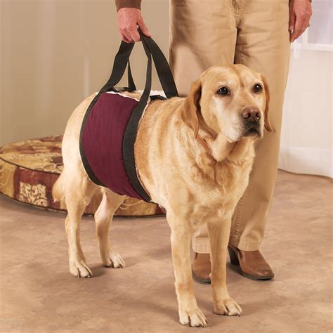 slings  lift harnesses  dog knee injuries tplocarecom