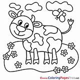 Kuh Malvorlage Calf Malvorlagen Kinderbilder Bauernhof sketch template