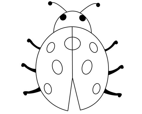 easy ladybug coloring pages  printable