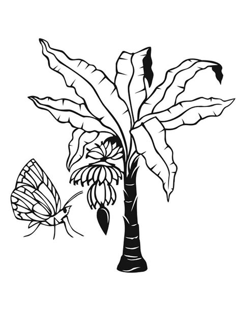jungle plants coloring pages tree coloring page coloring pages