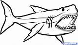 Coloring Pages Hammerhead Printable Shark Getcolorings Color Print sketch template