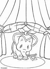 Dumbo Pintar Coloriage Colorare Ausmalbilder Chapiteau Piste Elefante Orelhas Amarradas Coloriages Entree Malvorlagen Circo Colorier Mundopeke Letzte Malbuch Dipingere sketch template