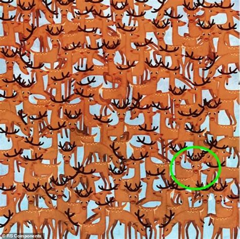Can You Spot All Seven Objects Hidden Among The Santas In