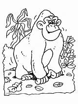 Kleurplaten Gorilla Aap Dieren Moeilijk Bokito Ausmalbild Binatang Mewarnai Hewan Animali Animasi Animaatjes Bergerak sketch template