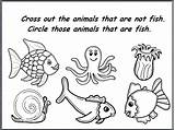 Fish Vertebrates Seneca Science English School Year sketch template