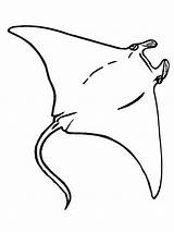 Stingray Manta Rays Diver Graceful sketch template