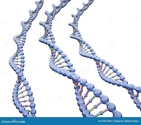 metallic dna chains stock photo image