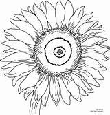 Gogh Van Sunflowers Drawing Printable Coloring Getdrawings sketch template