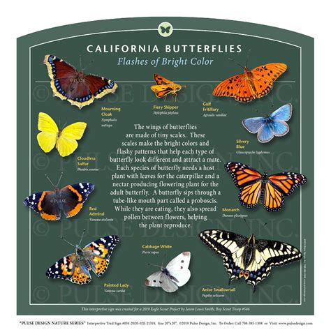 outdoor interpretive signs butterfly moth identification guides