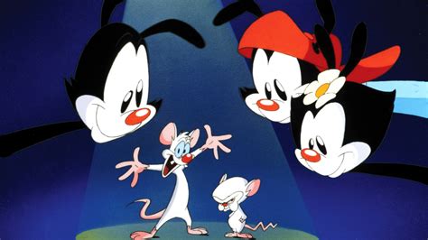 animaniacs reboot  reportedly   works teen vogue