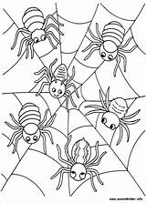 Ausmalbilder Bruxas Colorir Spinnen Coloriage Spinne Kleurplaten Pianetabambini Kleurplaat Colorat Mandala Pärlmönster Ragni Kindergarten Planse Spiders Lieblingshelden Hunderte Kino Deinen sketch template