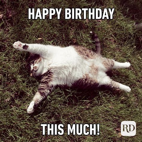 30 Of The Funniest Happy Birthday Memes Reader S Digest