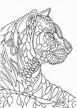 Mindfulness Anxiety Calm Tiger Lion Getdrawings Olds Getcolorings Cat Viatico Kleurboeken Aanbevelingen Boek sketch template