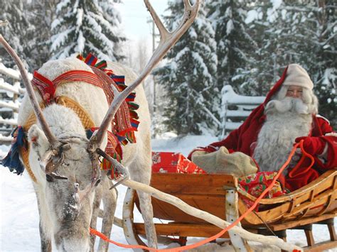 travellers guide lapland drive huskies meet santa claus