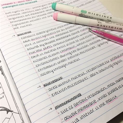mildliner notes study notes school organization notes cute handwriting