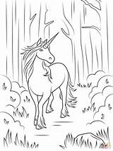 Einhorn Pferde Wald Tiere sketch template