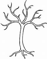 Tree Coloring Bare Clip Branches Branch Pages Trees Leafless Drawing Clipart Clker Leaves Outline Royalty Vector Online sketch template
