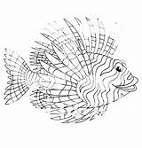 Lionfish Coloring 16kb sketch template