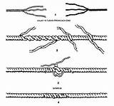 Splice Long Making Figure sketch template