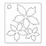Poinsettia Christmas Coloring Crafts sketch template