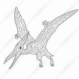 Pterodactyl Kolorowanka Pterodaktyl Dinozaur Dino Pterosaur Animal Fototapeta Mindfulness Sold Poglądowe Wizualizacje sketch template