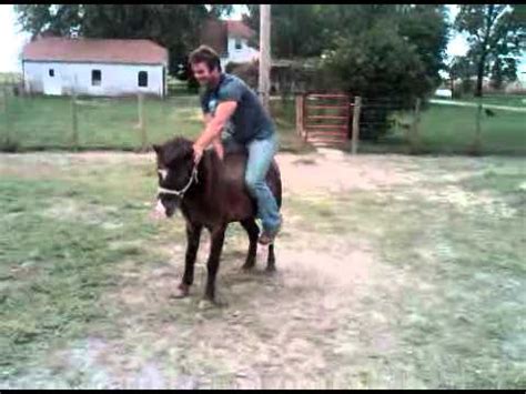 pony rodeo youtube