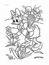Daisy Coloring Pages Color Kids Print Beautiful Disney Adult Printable Justcolor sketch template