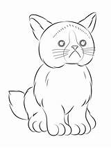 Cat Coloring Grumpy Pages Webkinz Printable Color Baby Drawing Version Click Categories Print sketch template