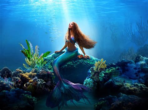 ariel   mermaid  wallpaperhd movies wallpapersk