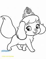 Coloring Pages Puppy Puppies Pets Palace Kitten Princess Printable Printables Pumpkin Cartoon Pomeranian Print Drawing Dogs A4 Cute Size Disney sketch template