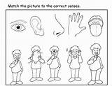 Senses Coloring Five Pages Sense Kids Printable Popular Kindergarten Books Categories Similar sketch template