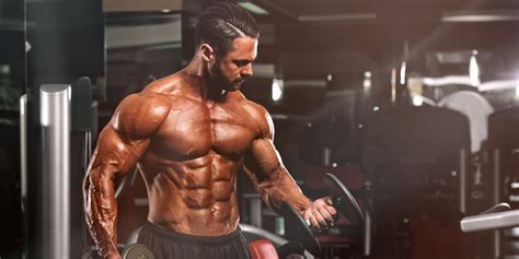 What Is Hypertrophy How Muscle Hypertrophy Helps Build Size