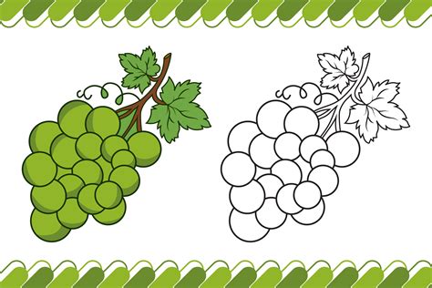 grape coloring page  kids graphic  tinmograph creative fabrica