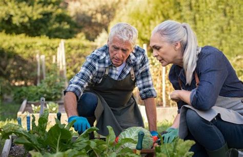 La Jardineria Como Actividad Para Nuestras Personas Mayores – Jardines