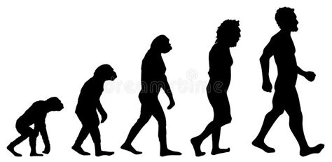 Teorias De La Evolucion Humana