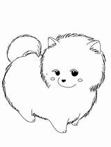 Pomeranian Puppy Pomeranians sketch template