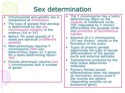 Ppt Development Of Male And Female Reproductive System Powerpoint