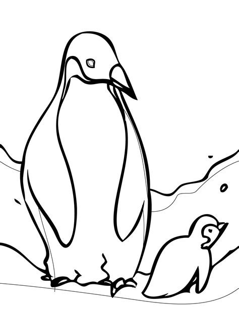 cartoon penguin coloring pages   cartoon penguin
