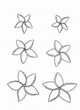 Plumeria Flower Coloring Drawing Flowers Sketch Rosa Rox Hoodlum Girl Tattoo Drawings Deviantart Outline Paintingvalley Designlooter Tattoos Hawaiian Collection 04kb sketch template
