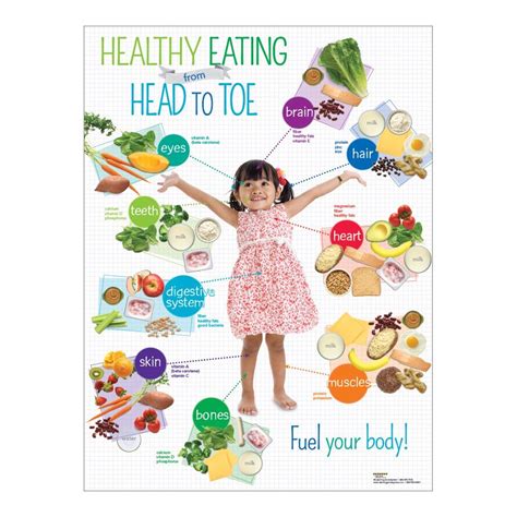 preschool healthy eating  head  toe poster groups healthy