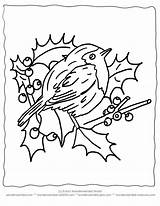 Robin Weihnachten Colouring Kostenlose Vogel Brandmalerei Malvorlagen Ausmalbilder Holly Xmas Wonderweirded Weihnachtsmalvorlagen Library Birdie sketch template
