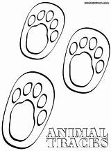 Footsteps Coloring Designlooter Sheet Animal sketch template