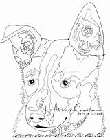 Australian Cattle Dog sketch template