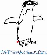 Penguin Macaroni Draw Tutorial Print sketch template