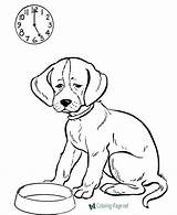 Coloring Dog Pages Dogs Printable Feed Kids Sheet sketch template
