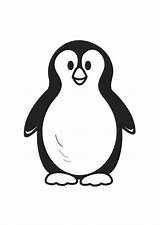Coloring Penguin Large sketch template