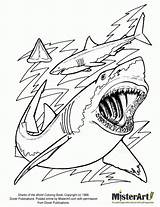 Sharknado sketch template