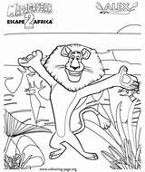 Madagascar Alex Coloring Lion Pages Colouring Penguins Kids Africa Escape Draw Movie Printable Cartoon Characters Hippopotamus Books Library Clipart Popular sketch template